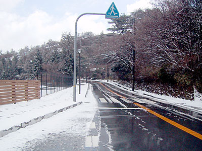 シャーベット路面