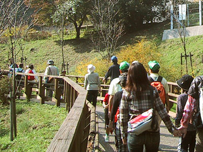 森林鉄道風歩道橋