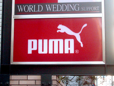 PUMA