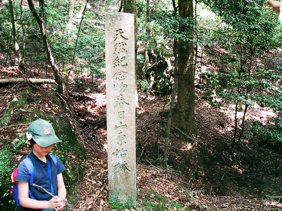 日山原始