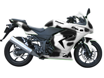 ホルスタイン柄のNinja250R