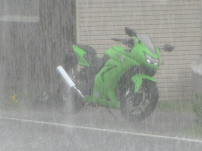 雨宿り中