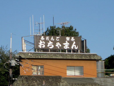 漢字表記は無理か なんぎな日記