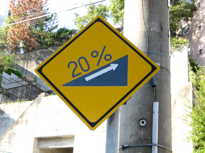 20%