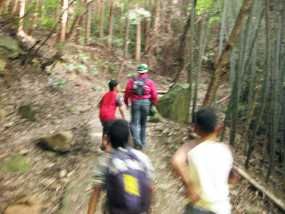 登山道