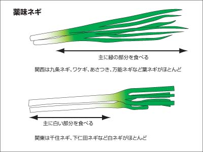 ネギ東西